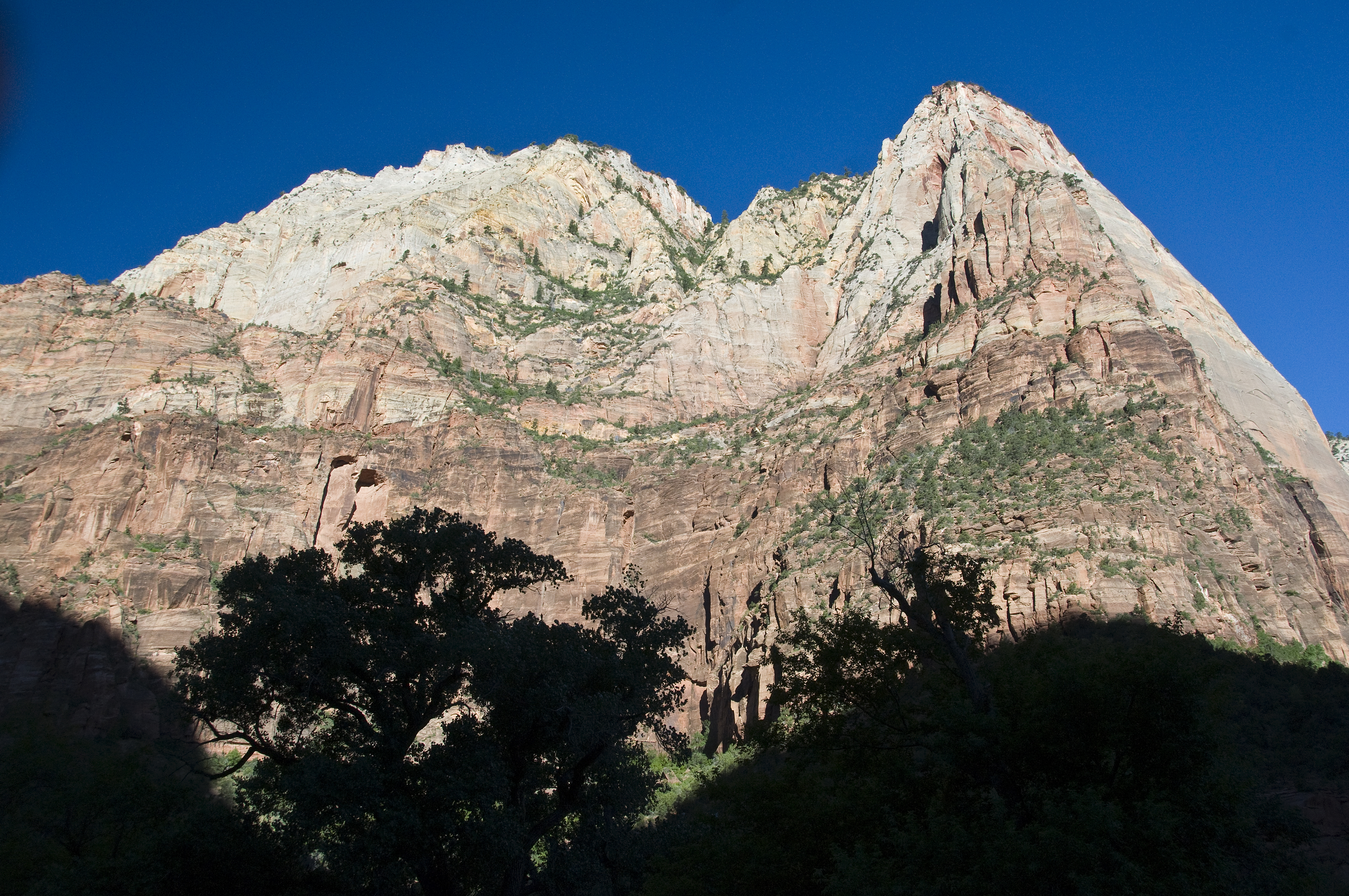 Zion Nat'l Park