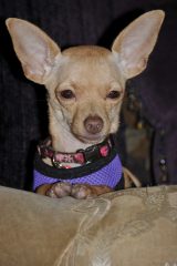 IMG_0107.jpeg